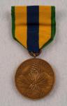 Mexican Service Medal Restrike