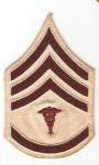 Medical 1902 Hospital Corps NCO Rank Insignia