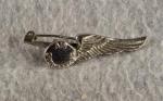 Air Stewardess Wing Badge