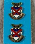 DUI DI Crest 13th Infantry Regiment Pair