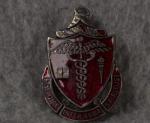 DUI DI Crest Walter Reed Medical Center Pinback