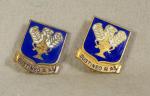 DI Crest USAAF Technical Training Command Pair