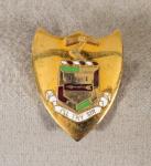 DI DUI 5th Infantry Regiment Crest Variant