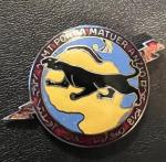 DUI DI 91st Armored Field Artillery Battalion