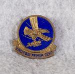 DUI DI Troop Carrier Command Pin Insignia