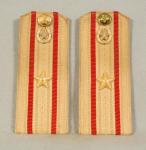 USSR Soviet Russian Motorized Shoulder Boards