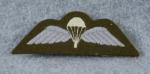 British Paratrooper Jump Wing