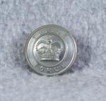British Police Force Coat Button