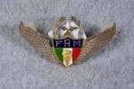 Mexican Paratrooper Jump Wing Master