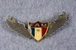 Mexican Paratrooper Jump Wing