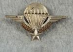 French Paratrooper Jump Wing Theater Made