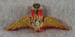 Thai Airborne Paratrooper Jump Wing Thailand