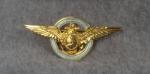 Argentine Pilot Wing Aviation