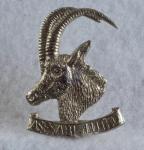 Rhodesian Armored Car Regiment Cap Badge