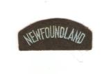 New Foundland Sleeve Rocker Patch