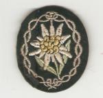 WWII German Edelweiss Patch Error