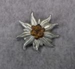 WWII German Edelweiss Badge