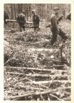 WWII German Photo SS Men in the Field