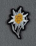 WWII German SS Edelweiss Cap Patch