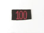 WWII German Shoulder Board Slide 100th Panzer