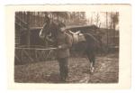 WWI German Soldier with Horse Picture Postcard