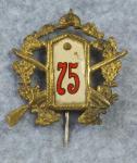 WWI German 75th Infantry Regiment Veterans Pin