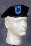 US Army Beret 137th Infantry Regiment