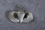 Senior Paratrooper Airborne Wing J Balme