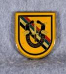 Special Forces Detachment Korea Coin