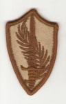 Patch Central Command CENTCOM Desert Subdued
