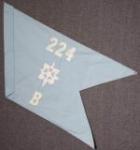 Guidon 224th Military Intelligence MI Battalion  