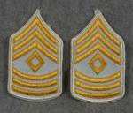 US Army First Sergeant Rank Female