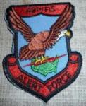 49th FIS Fighter Interceptor Patch