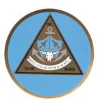 Insignia NAS Fallon Nevada Air Station