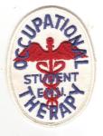 Occupational Therapy Student EMU Patch