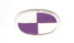 Patch Airborne Oval 98th Civil Affairs Battalion