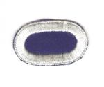 Patch Oval 325th Airborne Infantry Regiment