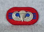 Airborne Oval 505th Infantry Regt 3rd Battalion