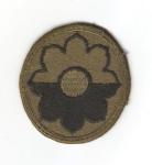 Patch 9th Infantry Division Subdued