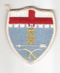 US Army 11th Infantry Regiment Patch