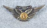 USN Navy Aircrew Wing Badge