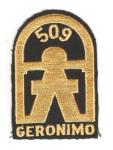 Patch 509th Airborne Parachute Infantry Regiment