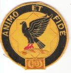 US Army 1st Cavalry Regiment Patch