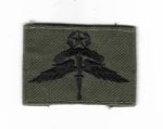 US Army Master Halo Jump Wing Patch