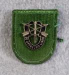 Beret Flash 10th Special Forces Group & DUI
