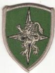 US Army Allied Land Forces Patch
