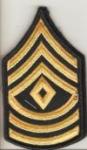 Army ASU 1st Sergeant Rank Pair Female