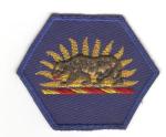 Army California National Guard Patch Variant