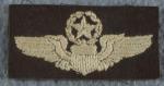USAF Command Pilot Wing Theater Made