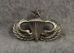 Senior Paratrooper Jump Wing Badge Sterling